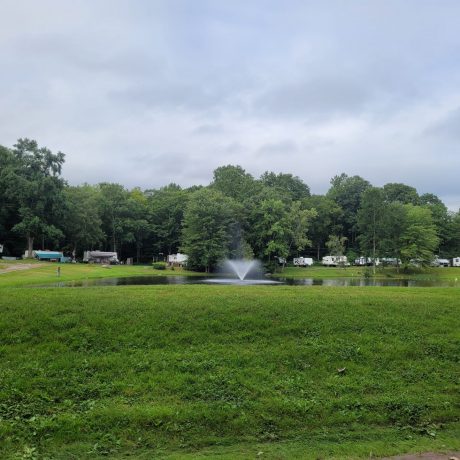 pond landscape