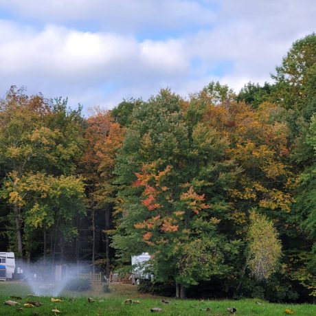 campground landscape